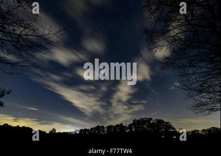 Ciel de nuit avec les étoiles et les nuages en mouvement et des silhouettes d'arbres Banque D'Images