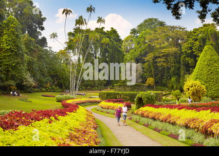 Sri Lanka - Kandy, Le Jardin botanique de Peradeniya Banque D'Images