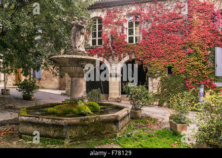 Fontaine de Saignon, façade avec vin sauvage à l'automne, Provence, France Banque D'Images