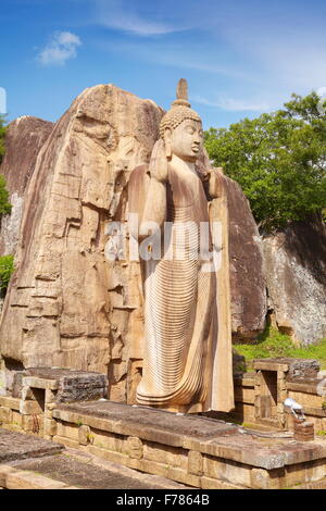 Sri Lanka - Anuradhapura, Statue Bouddha Aukana, Site du patrimoine mondial de l'UNESCO Banque D'Images