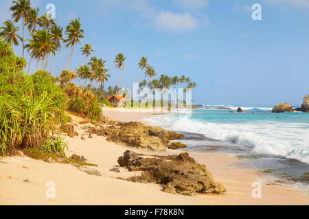 Paysage du Sri Lanka - Koggala beach (sur la pointe sud-ouest de Sri Lanka), Sri Lanka, Asie Banque D'Images