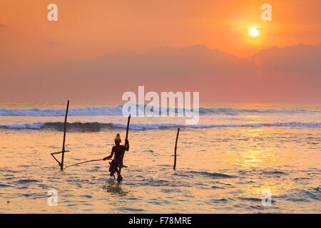 Échasse Sri-lankais au coucher du soleil, pêche Koggala Beach tropical, au Sri Lanka, en Asie Banque D'Images