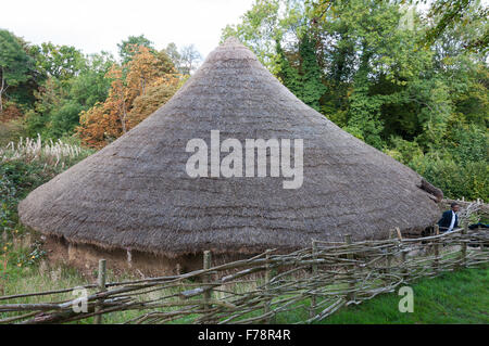 Maison de l'âge du fer, le Musée de Plein Air de Chiltern, Beaconsfield Buckinghamshire, Angleterre, Royaume-Uni Banque D'Images