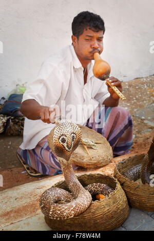 Sri Lanka - Galle, charmeur de serpent Banque D'Images