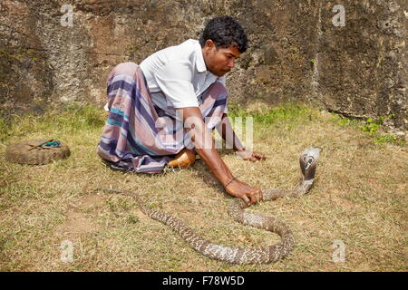 Sri Lanka - Galle, charmeur de serpent Banque D'Images