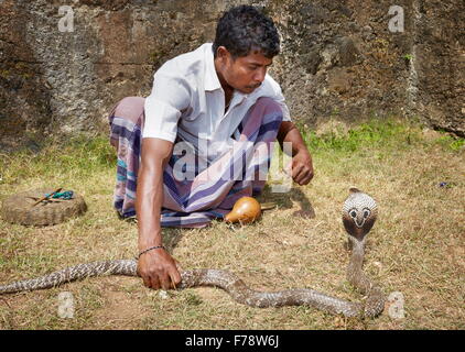 Sri Lanka - Galle, charmeur de serpent Banque D'Images