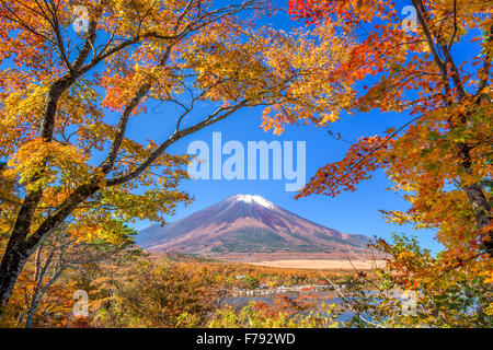 Mt. Fuji, au Japon, du lac Yamanaka en automne. Banque D'Images