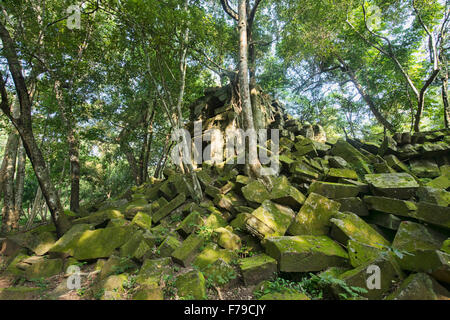 L'hidden temple jungle de Beng Meala, Siem Reap, Cambodge Banque D'Images