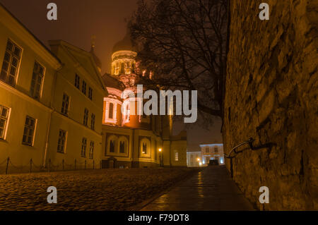 Vue de nuit sur allumé la cathédrale Alexandre Nevsky, Tallinn, Estonie Banque D'Images