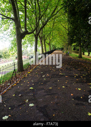 Au début de l'automne, le parc du château de Colchester Essex en Angleterre Banque D'Images