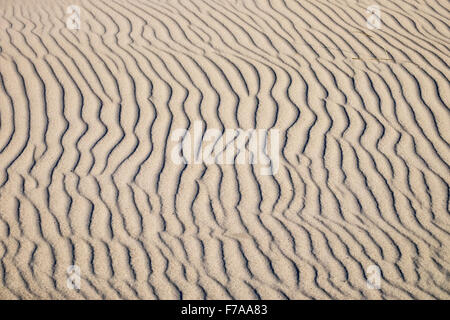 Lignes ondulées dans le sable, le Relais du lac plage, mer Baltique, né auf dem Darß, Fischland-darss-Zingst, Poméranie occidentale Lagoon Area Banque D'Images