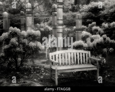 Rhododendrons et banc. Le jardin de l'Oregon. Silverton, Oregon Banque D'Images