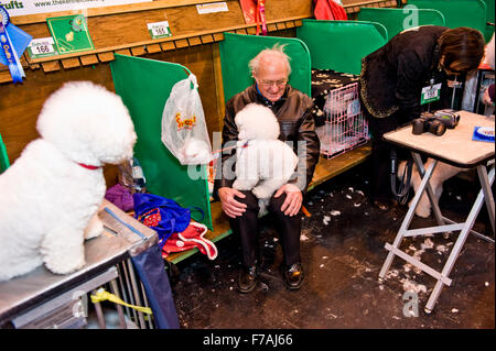 Funny Crufts pix . 2012 , Birmingham NEC Banque D'Images