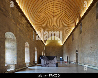 Une vue sur l'intérieur du Palais des Papes à Avignon dans le sud de la France Banque D'Images