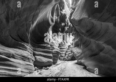 Logement à l'intérieur du Canyon Wilderness étroite gorge Daim en noir et blanc. Banque D'Images