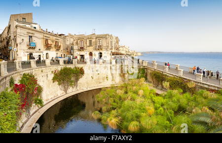 Fonte Aretusa, printemps d'eau douce envahis par les papyrus, Ortigia, Syracuse, Sicile, Italie, l'UNESCO Banque D'Images