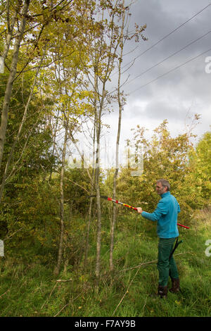 Un homme couper et tailler les branches des arbres près des lignes électriques, North Yorkshire, uk Banque D'Images