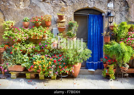 Rue de la ville décorée de fleurs, Pitigliano, Toscane, Italie Banque D'Images