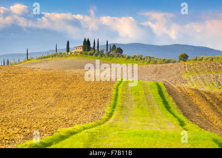 Paysage de Toscane, Val d'Orcia, Italie Banque D'Images