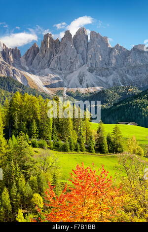 Val Di Funes dans la couleur en automne, Tyrol, Montagnes des Dolomites, Alpes, Italie Banque D'Images