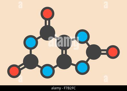 Molécule d'acide urique. Les taux sanguins élevés conduisent à la maladie de la goutte. Formule topologique stylisé (structure chimique). Les atomes sont indiquées comme Banque D'Images