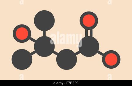 Beta-hydroxy beta-methylbutyric HMB leucine (acide) métabolite molécule. Utilisé en tant que complément, peut augmenter la force et le muscle Banque D'Images