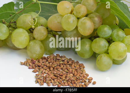 Les pépins de raisin sur fond blanc Banque D'Images