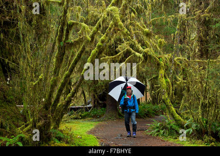 WASHINGTON - Backpacker de faire un détour par la salle de mousses avant de partir dans la vallée de la rivière Hoh Olympic National Park. Banque D'Images