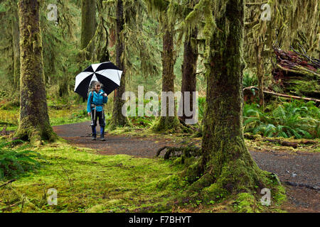 WASHINGTON - Backpacker de faire un détour par la salle de mousses avant de partir dans la vallée de la rivière Hoh Olympic National Park. Banque D'Images