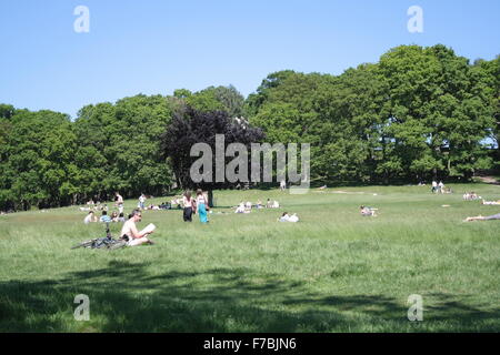 Les gens se détendre, bronzer et lecture à Richmond Park, London, UK Banque D'Images