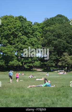 Les gens se détendre, bronzer et lecture à Richmond Park, London, UK Banque D'Images