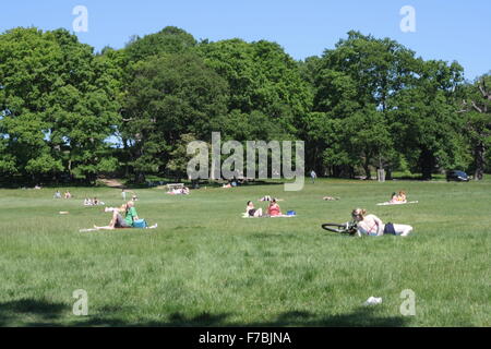 Les gens se détendre, bronzer et lecture à Richmond Park, London, UK Banque D'Images