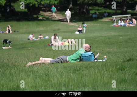 Les gens se détendre, bronzer et lecture à Richmond Park, London, UK Banque D'Images