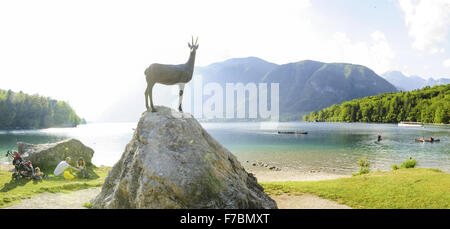 La Slovénie, Triglav, parc national Triglav, Bohinjsko jezera Banque D'Images