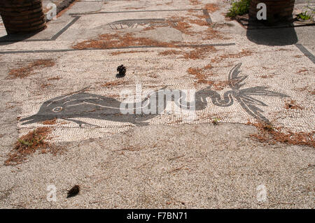 Magnifiques mosaïques sont conservés dans les fouilles d'Ostia Antica, la cité portuaire de la Rome antique. Banque D'Images