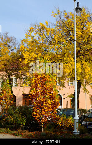 La ville de Kecskemet Hongrie couleurs d'automne inner city Banque D'Images