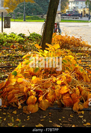 La ville de Kecskemet Hongrie couleurs d'automne inner city Banque D'Images