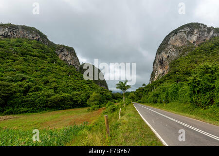 Route de campagne avec bande médiane à Vinales, montagne karstique dans la vallée de Vinales, Cuba, Vinales, Pinar del Rio, Cuba, Banque D'Images