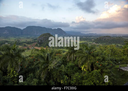 Vallée de Vinales avec montagnes karstiques, vue de l'hôtel Los Jazmines la vallée, vue panoramique, collines, Viñales, Cuba, Banque D'Images