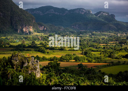 Ferme, farmer's Cottage, grange pour le séchage des feuilles de tabac, champs de tabac et les montagnes de Mogotes, Vallée de Viñales avec ka Banque D'Images