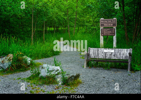 Sentier de l'anse du hareng sur la forêt nationale de Tongass menant au lac aux Castors près de Sitka, Alaska, USA Photographie par Jeffrey Wick Banque D'Images