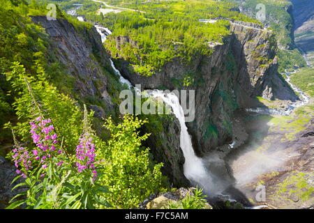 La cascade de Voringfossen, Hordaland, Norvège Banque D'Images