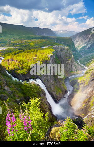 La cascade de Voringfossen, Hordaland, Norvège Banque D'Images