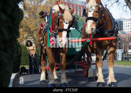 Washington, DC, USA. 28 Nov, 2015. Première Dame des États-Unis Michelle Obama, avec des animaux de compagnie de la famille Obama, Bo et ensoleillée, prendre un aperçu de l'arbre de Noël officiel de la Maison Blanche au nord le 27 novembre 2015, portique à Washington, DC. Les 18,5 pieds de sapin Fraser, est arrivé en chariot tiré par des chevaux de Jay et Glenn Bustard outarde d'arbres de Noël dans l'Illinois, Willow Grove. Banque D'Images