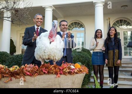 Le président des États-Unis, Barack Obama, l'abe réhabilitation 40 livres en Turquie en tant que président de la Fédération Nationale de Turquie Dr Douglas Jihad et ses filles Malia et Sasha regarder le 25 novembre 2015 à Washington, DC. La grâce présidentielle d'une dinde est une tradition annuelle de l'action de la Maison Blanche. Banque D'Images