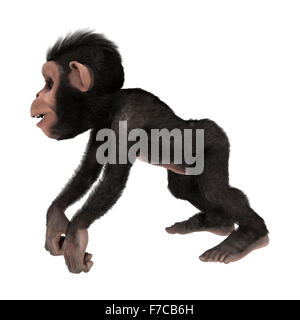 Numérique 3D render of a peu de singe chimpanzé isolé sur fond blanc Banque D'Images
