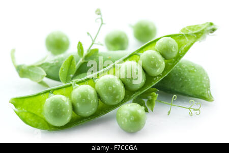 Ouvrir pea pod sur un fond blanc. Banque D'Images