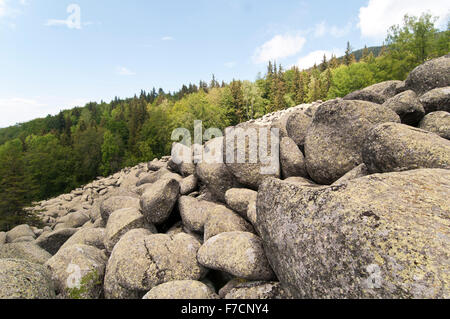 Big River pierre Pierres granitiques sur Rocky River National Park Vitosha ,Bulgarie Banque D'Images