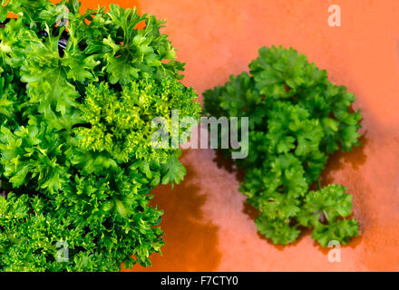 Close up shot ou une bande d'un vert frais persil sur une plaque brune avec un arrière-plan flou. Banque D'Images