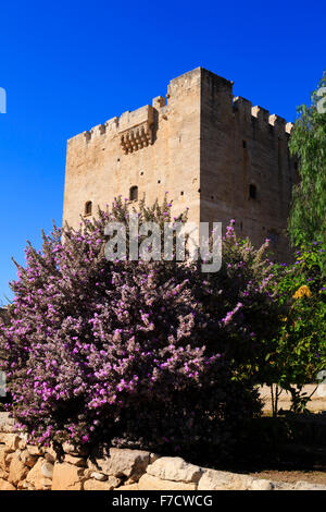 Château de colosse, Limassol, Chypre. Banque D'Images